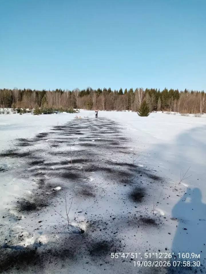 Погода на ближайшие выходные 4-5 апреля 2026 года: тёплый старт апреля с дождями