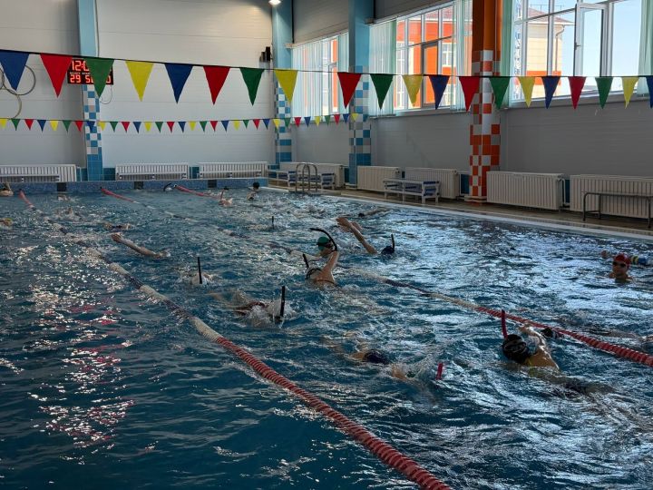 В мамадышской «Лагуне» прошел мастер-класс от мастера спорта России из Пестрецов