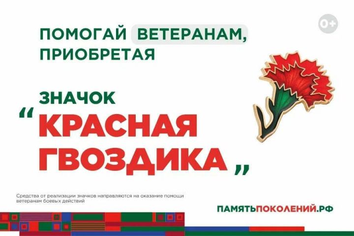 В Татарстане стартовал сбор средств для ветеранов: акция «Красная гвоздика»