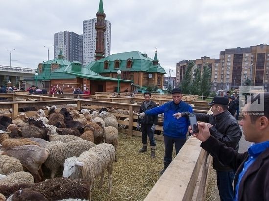 Готовимся к Курбан-байраму 2026: полный гид по подготовке к празднику