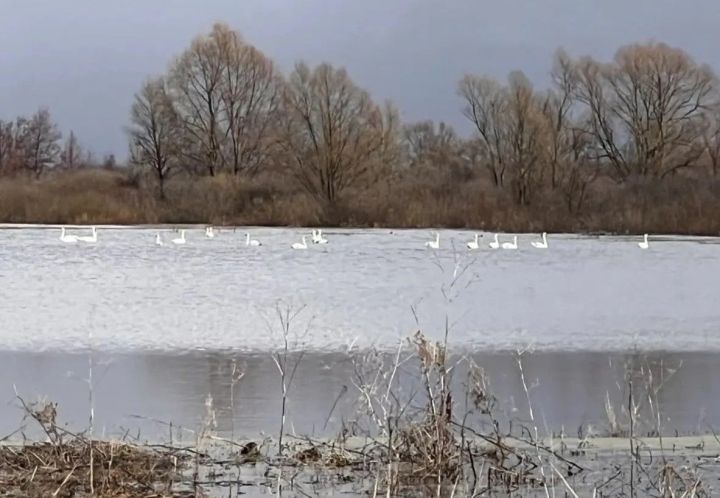 Май бәйрәмнәре 2026: ничек ял итәбез, эш көннәре һәм кыска атна