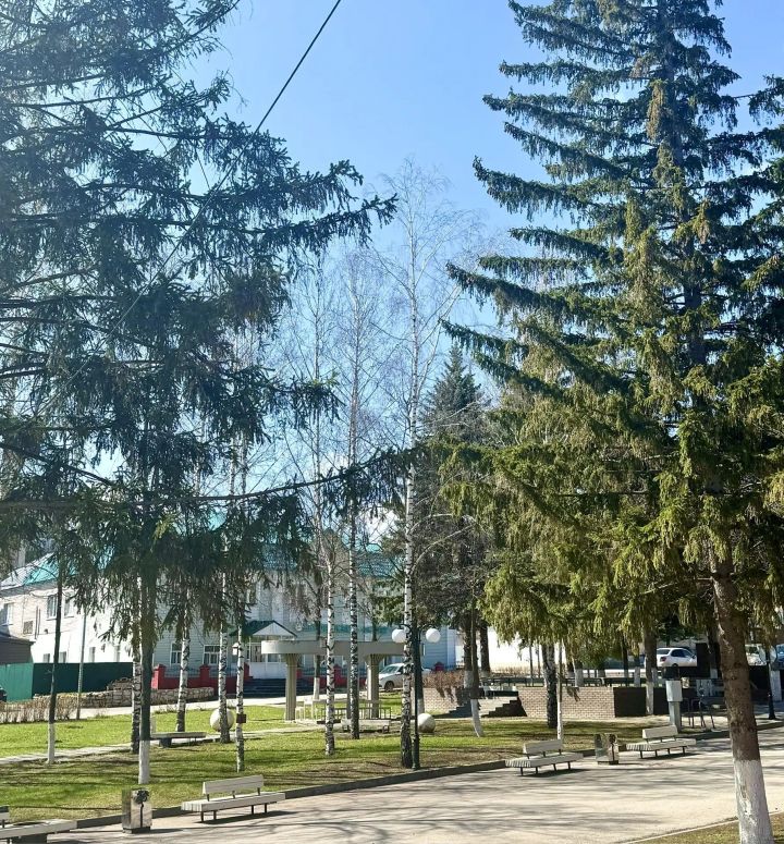 Подробный прогноз погоды на 25 и 26 апреля 2026 года по всем регионам России