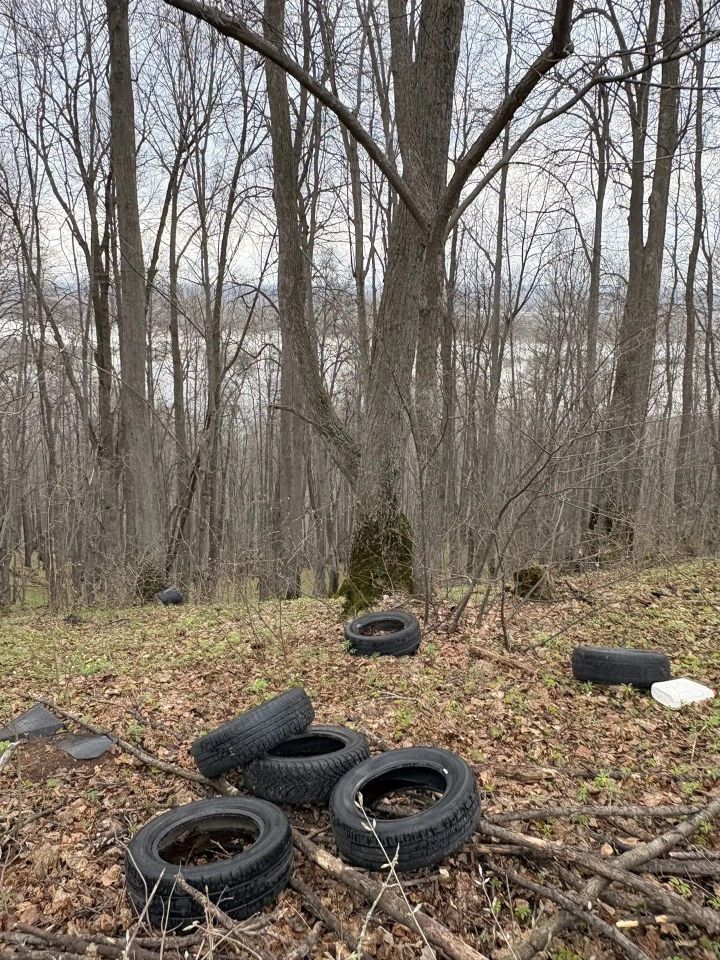 Весна на Фестивальной поляне: природа оживает, а совесть — нет