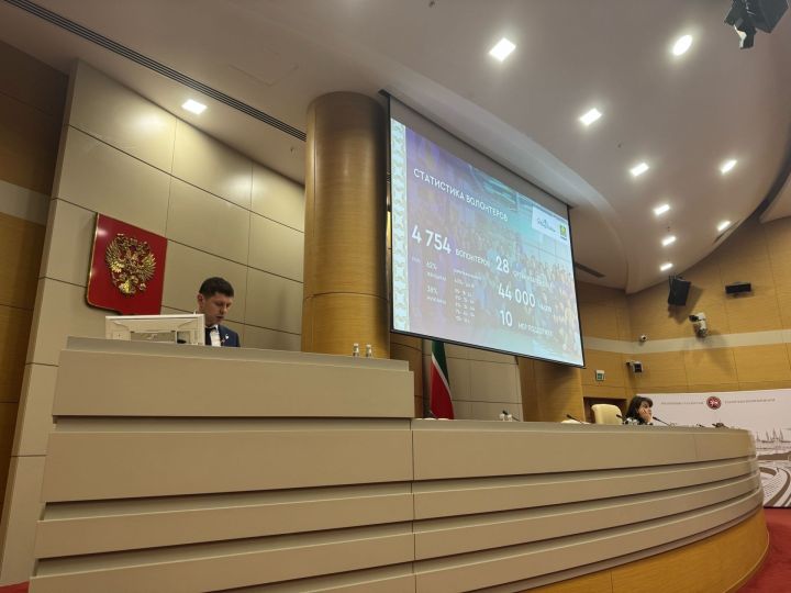 Представители Мамадыша выступили на республиканском совете по добровольчеству