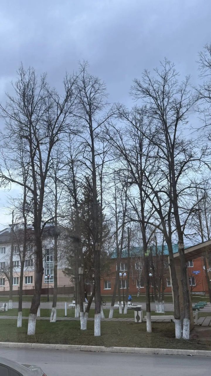 Көчле җил Татарстанда 29 апрельдә дә сакланачак