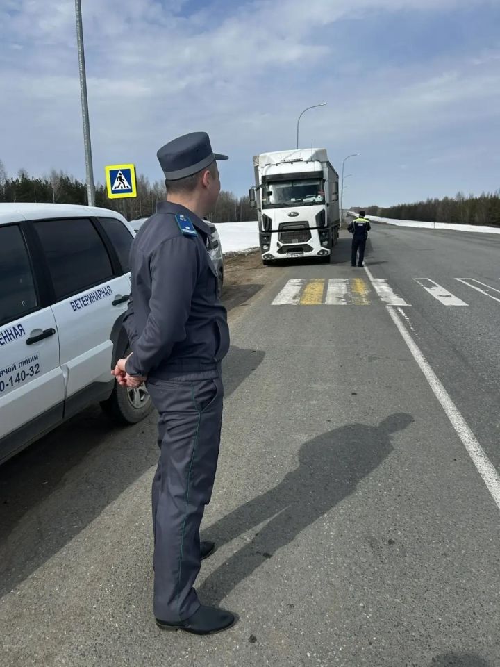 В Мамадыше усилен контроль за перевозкой животных