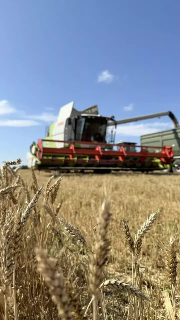 Авыл хезмәте: Татарстанда 40 мең пенсионер өстәмә түләү алачак