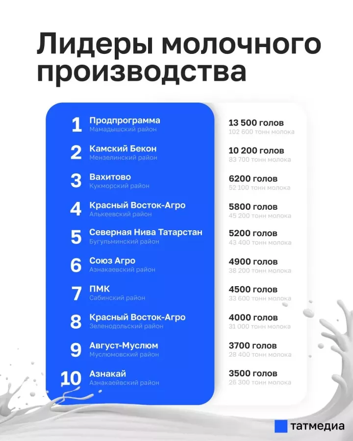 Мамадышское предприятие признано абсолютным лидером молочной отрасли