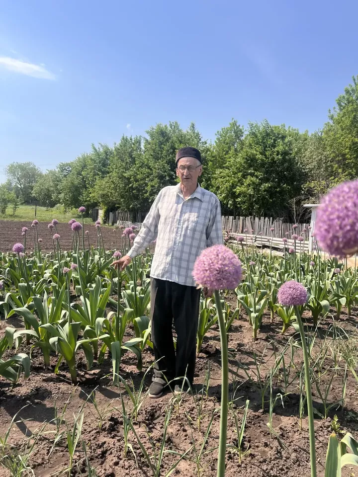 В обычном огороде — необычное чудо