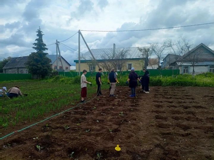 Лето с пользой и душой: как живут пришкольные лагеря в Нижней Суни