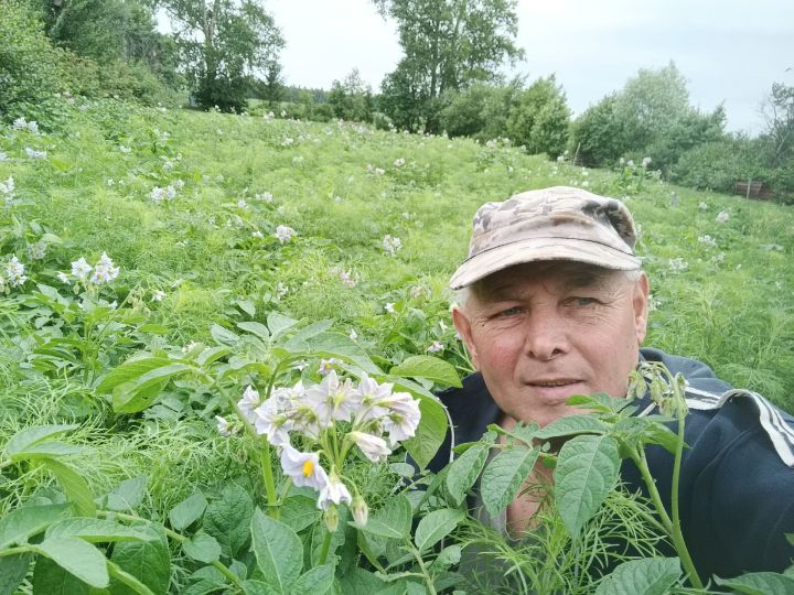 Житель района Мулланур Загидуллин поделился секретами раннего картофеля