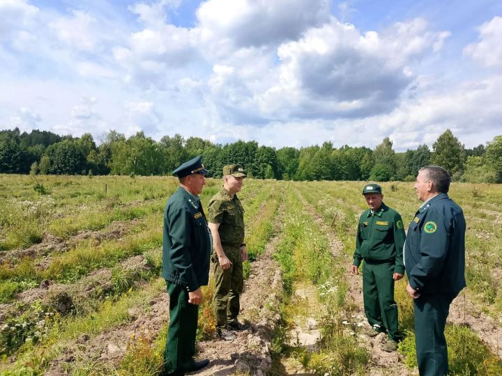 Равиль Кузюров оценил ход лесовосстановительных работ в Камском лесничестве