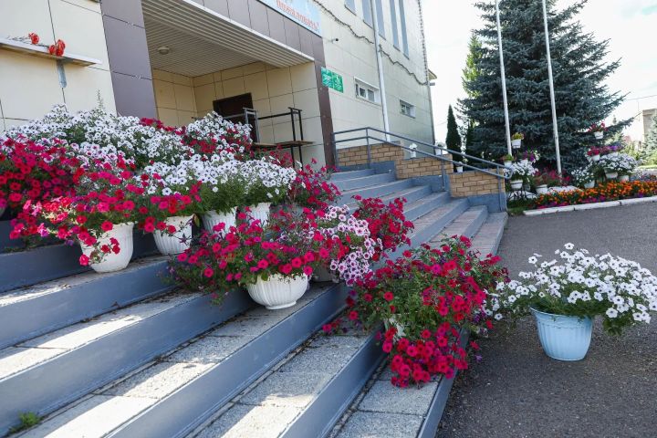 Конкурсная комиссия оценила цветочное оформление Мамадыша