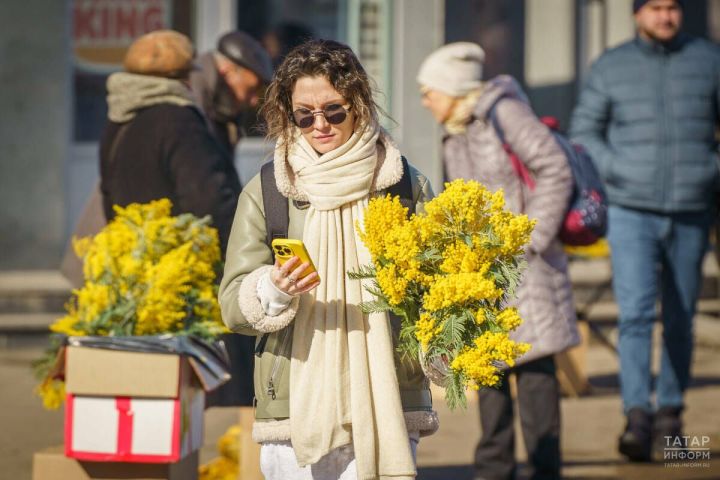 Жители Татарстана проголосуют за проведение интернета в свои села