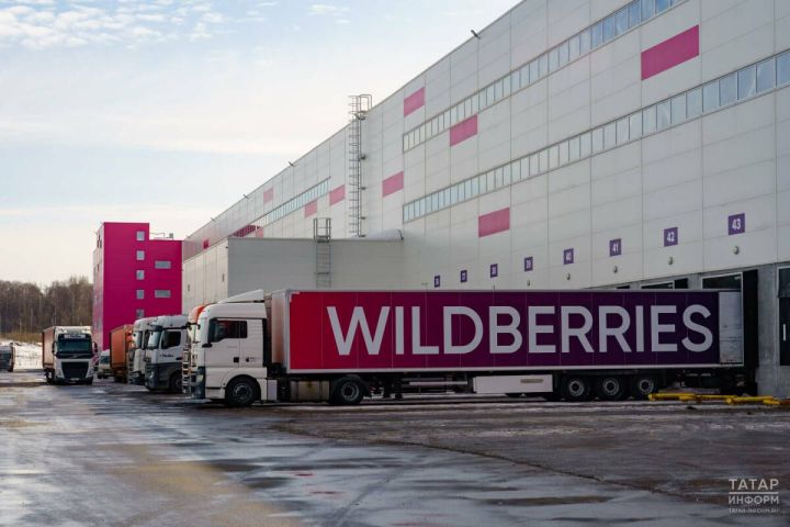 В Татарстане одобрили льготный займ для пострадавшего продавца Wildberries