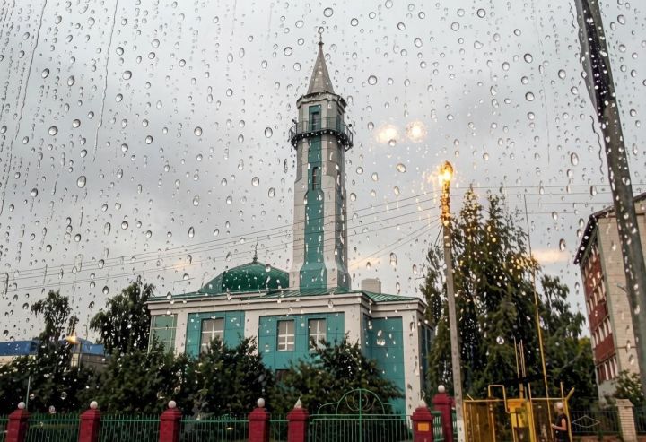 В Мамадышском районе завтра ожидается прохладная погода с дождём